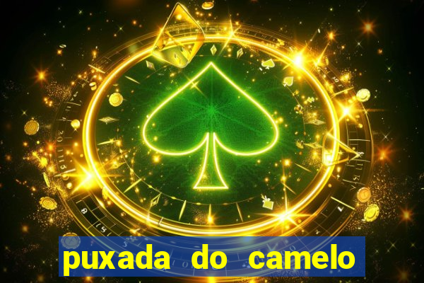 puxada do camelo no jogo do bicho